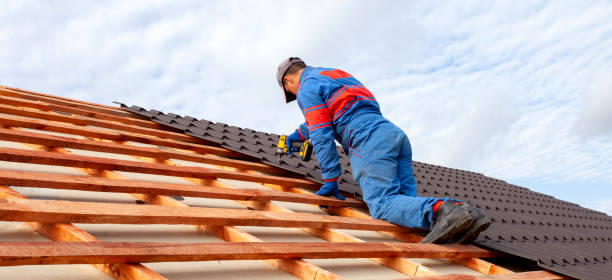 Best Gutter Installation and Repair  in Belhaven, NC